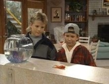 Home Improvement, Season 2 Episode 14 image