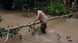 Out of the Wild: Venezuela, Season 1 Episode 6 image