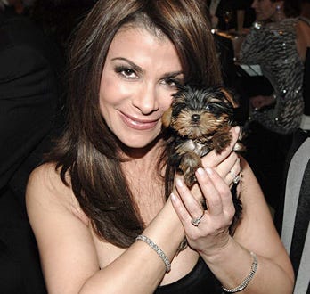 Paula Abdul and her Yorkshire Terrier