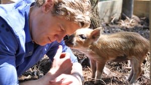 Bondi Vet, Season 5 Episode 9 image