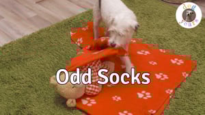 Dog Years, Season 1 Episode 6 image