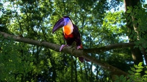 In the Night Garden..., Season 1 Episode 48 image