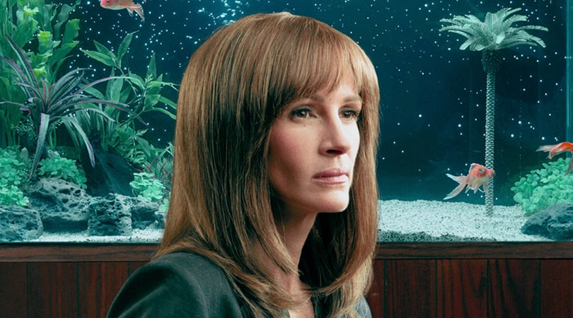 Julia Roberts, Homecoming