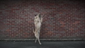 Man Down, Season 3 Episode 1 image