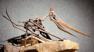 Monsterquest, Season 3 Episode 15 image