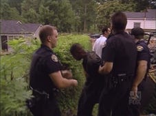 Cops, Season 11 Episode 3 image