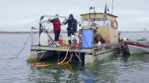 Bering Sea Gold, Season 6 Episode 10 image