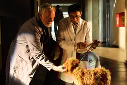 SOKO Stuttgart, Season 7 Episode 13 image