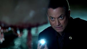CSI: NY, Season 9 Episode 9 image