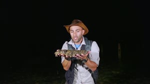 Brave Wilderness, Season 3 Episode 3 image