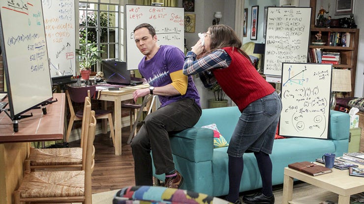 Jim Parsons and Mayim Bialik, The Big Bang Theory