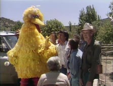 Sesame Street, Season 7 Episode 16 image