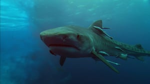 I Was Prey, Season 2 Episode 1 image