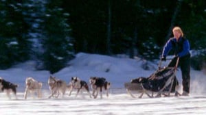 Nature, Season 18 Episode 4 image