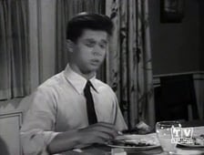 Leave It to Beaver, Season 4 Episode 15 image