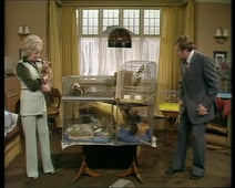 Terry and June, Season 1 Episode 6 image