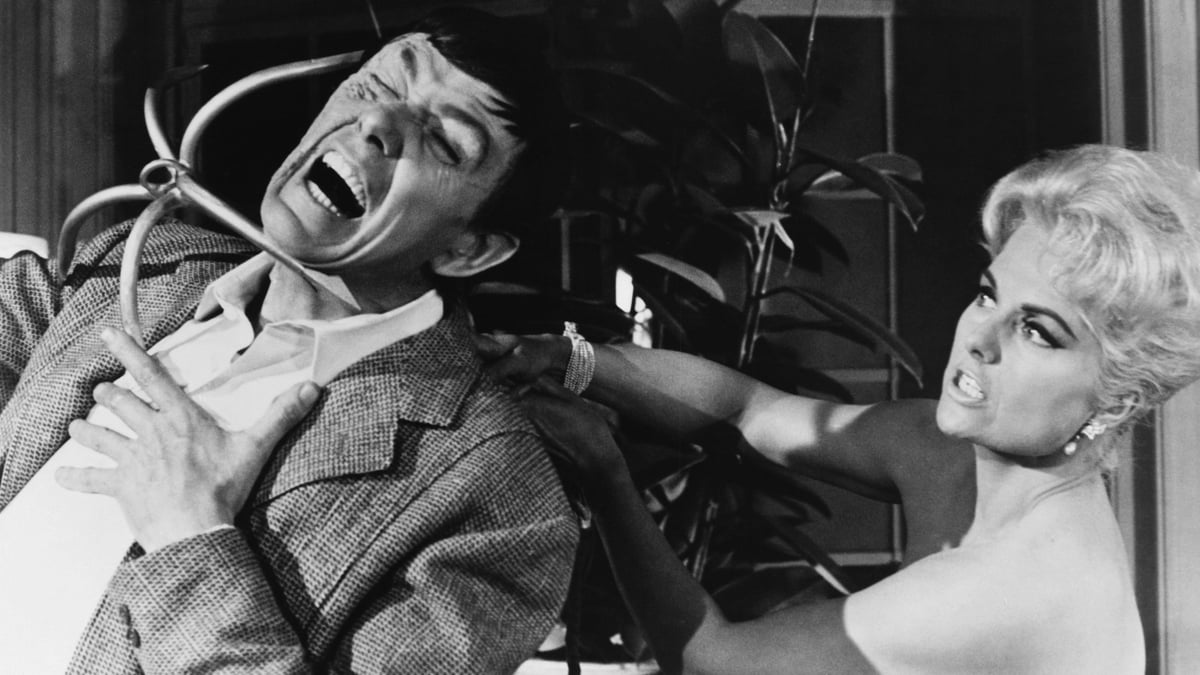 Martha Hyer - TV Guide