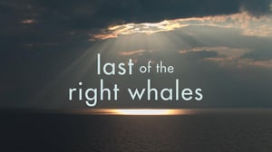 The Nature of Things, Season 62 Episode 1 image