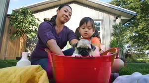 Cutie Pugs, Season 1 Episode 9 image