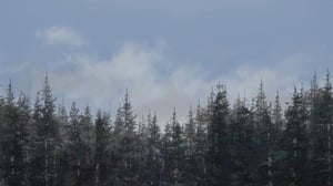 Golden Kamuy, Season 3 Episode 8 image