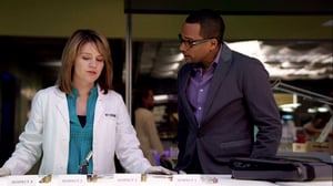 CSI: NY, Season 5 Episode 25 image