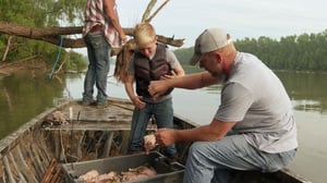 Swamp People, Season 13 Episode 10 image