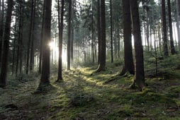 Wildes Deutschland, Season 1 Episode 3 image