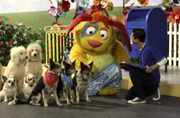 Mutt & Stuff, Season 2 Episode 17 image