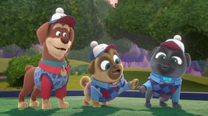Puppy Dog Pals, Season 3 Episode 21 image
