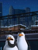 The Penguins of Madagascar, Season 1 Episode 9 image