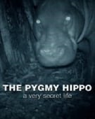 Natural World, Season 33 Episode 5 image