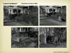 Leave It to Beaver, Season 5 Episode 22 image