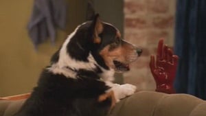 Dharma & Greg, Season 1 Episode 4 image