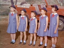 Green Acres, Season 3 Episode 22 image