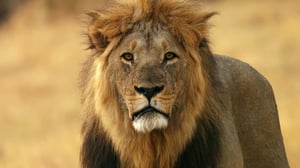 Savage Kingdom, Season 2 Episode 2 image