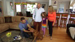 Lucky Dog, Season 1 Episode 21 image