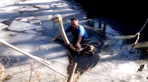 Caught on Camera with Nick Cannon, Season 3 Episode 2 image