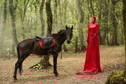 The Frog, Season 1 Episode 15 image