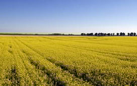 Aerial America, Season 5 Episode 5 image