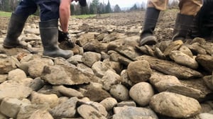 Kings of Kush, Season 1 Episode 2 image