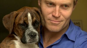 Bondi Vet, Season 3 Episode 3 image