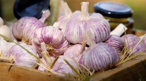 Tasty Conversations, Season 1 Episode 15 image