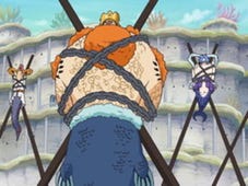One Piece, Season 15 Episode 36 image