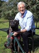 Paul O'Grady: For the Love of Dogs, Season 10 Episode 6 image