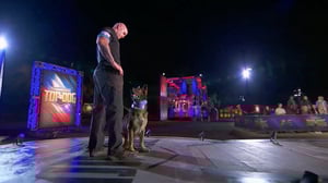 America's Top Dog, Season 1 Episode 3 image