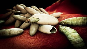 Monsters Inside Me, Season 6 Episode 2 image