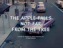 Naked City, Season 4 Episode 18 image