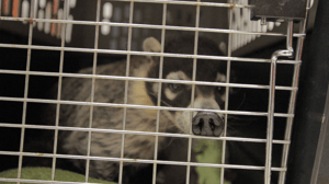 Animal ER, Season 1 Episode 4 image