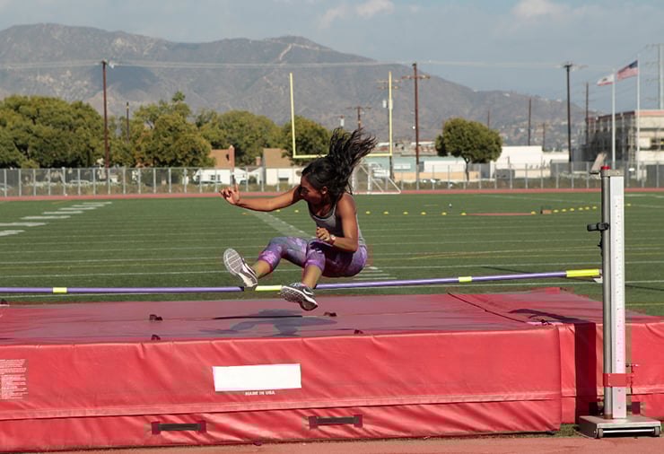 Dominique, The Bachelor