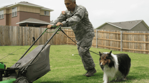 Dog Whisperer with Cesar Millan, Season 8 Episode 4 image